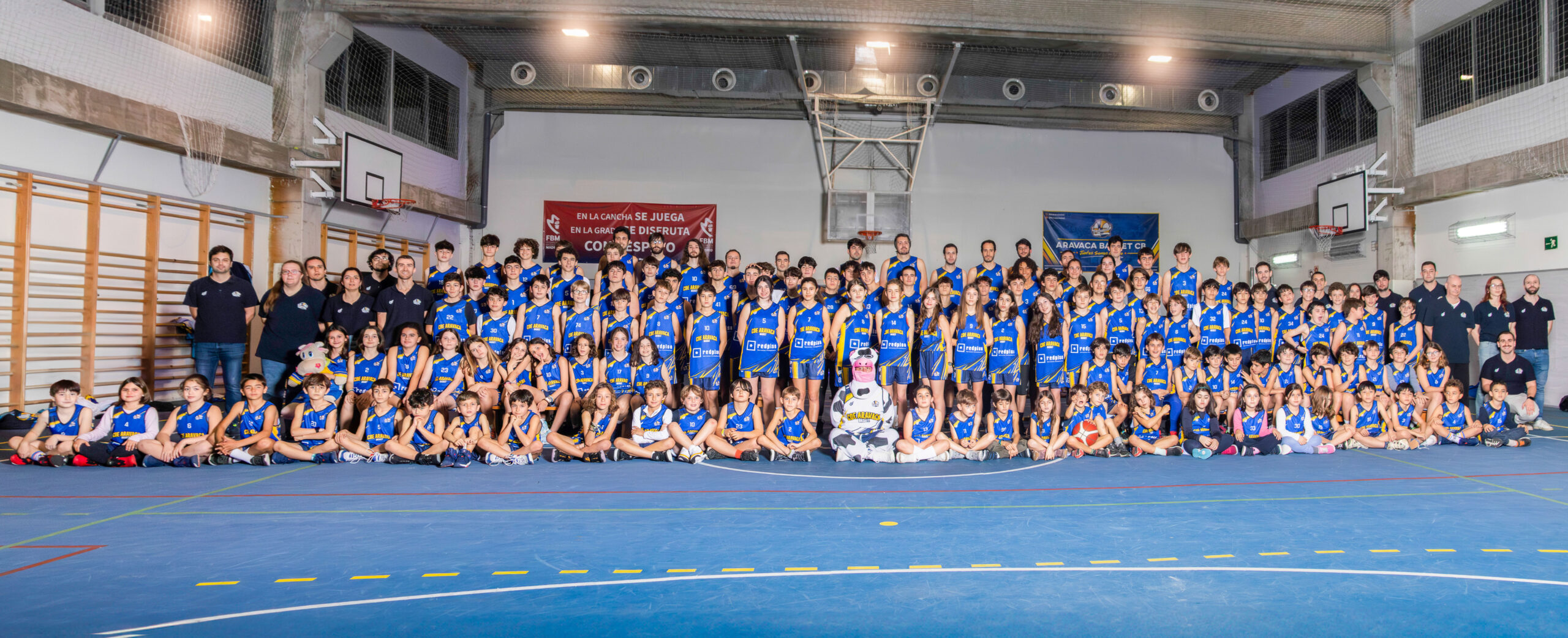 Club Baloncesto Aravaca